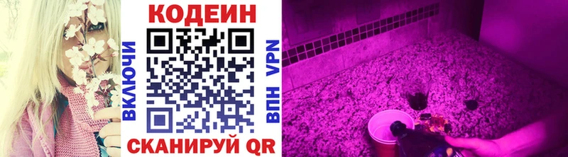 Кодеиновый сироп Lean Purple Drank  Пойковский 