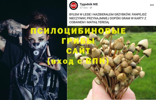 бутират Богородск