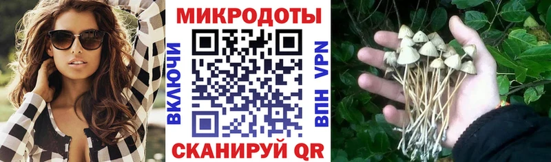 OMG ONION Пойковский Псилоцибиновые грибы мицелий купить закладку