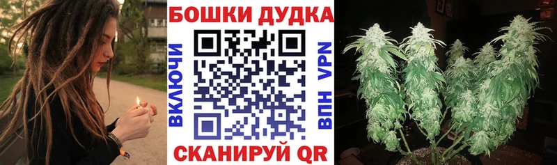 Шишки марихуана планчик  Пойковский 